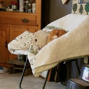 Meet your Posher, Petra